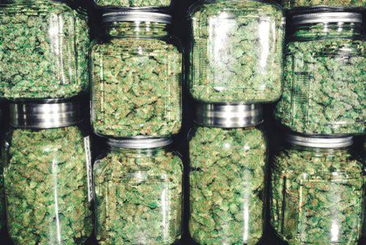 "green thumb industries"