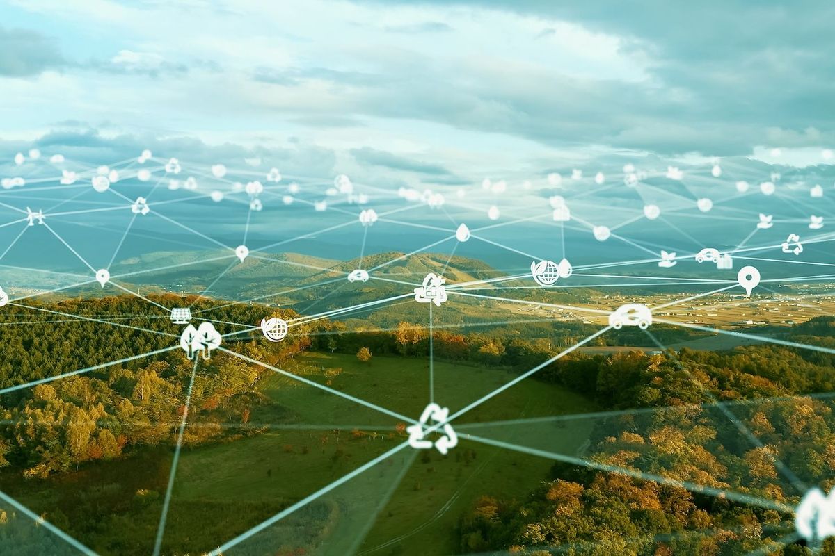 Grid with decarbonization imagery over forest.