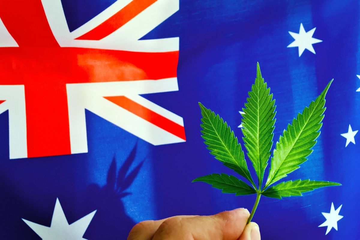 hand holding cannabis leaf in front of Australia flag