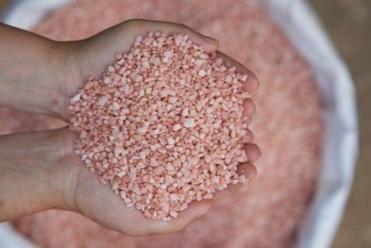 hands holding fertilizer