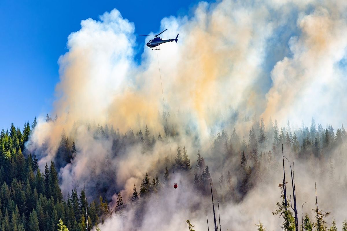Helicopter fighting forest fire with water bucket, smoky sky above dense green trees.