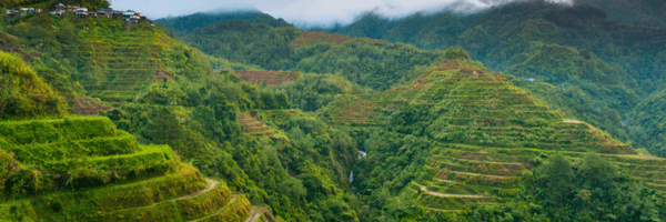 Image for Blackstone Minerals