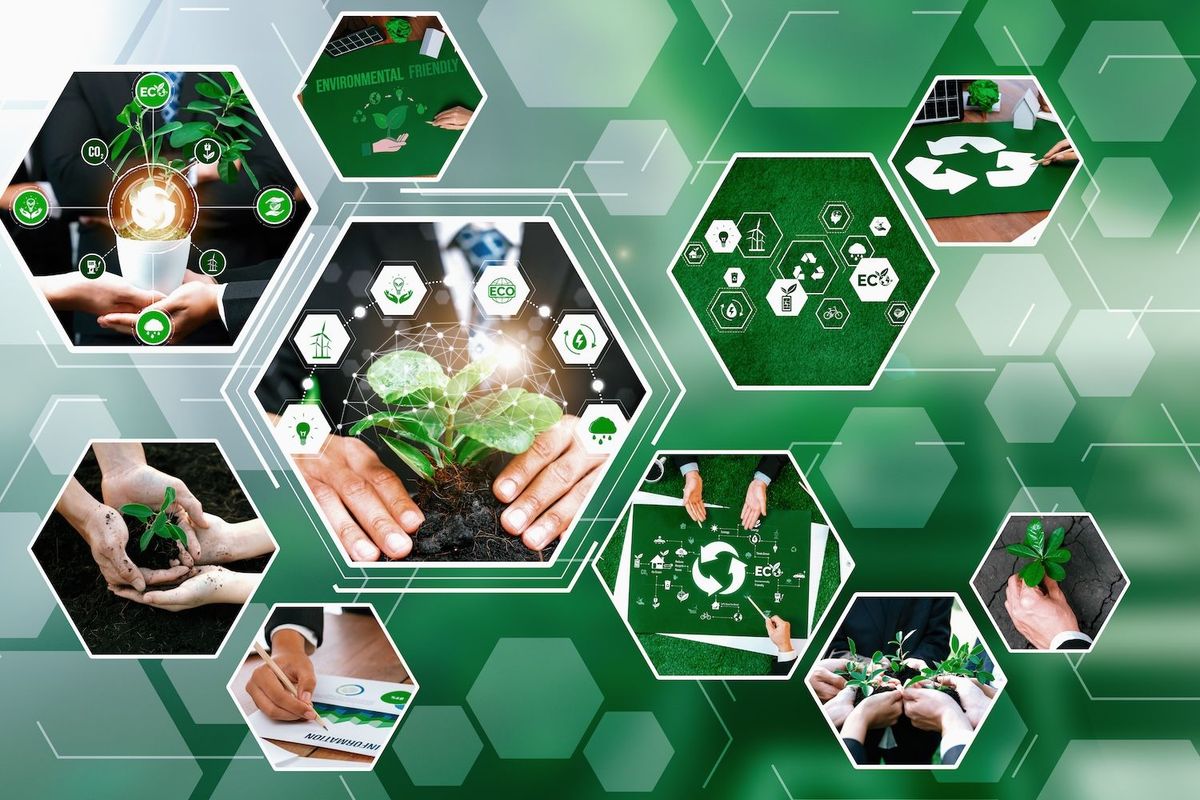 Hexagonal collage on green themes, featuring plants and eco-friendly symbols.