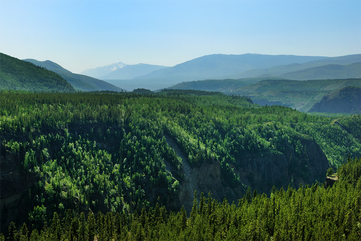 Hills of Stikine River Provincial Park.