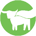 beyond meat inc.