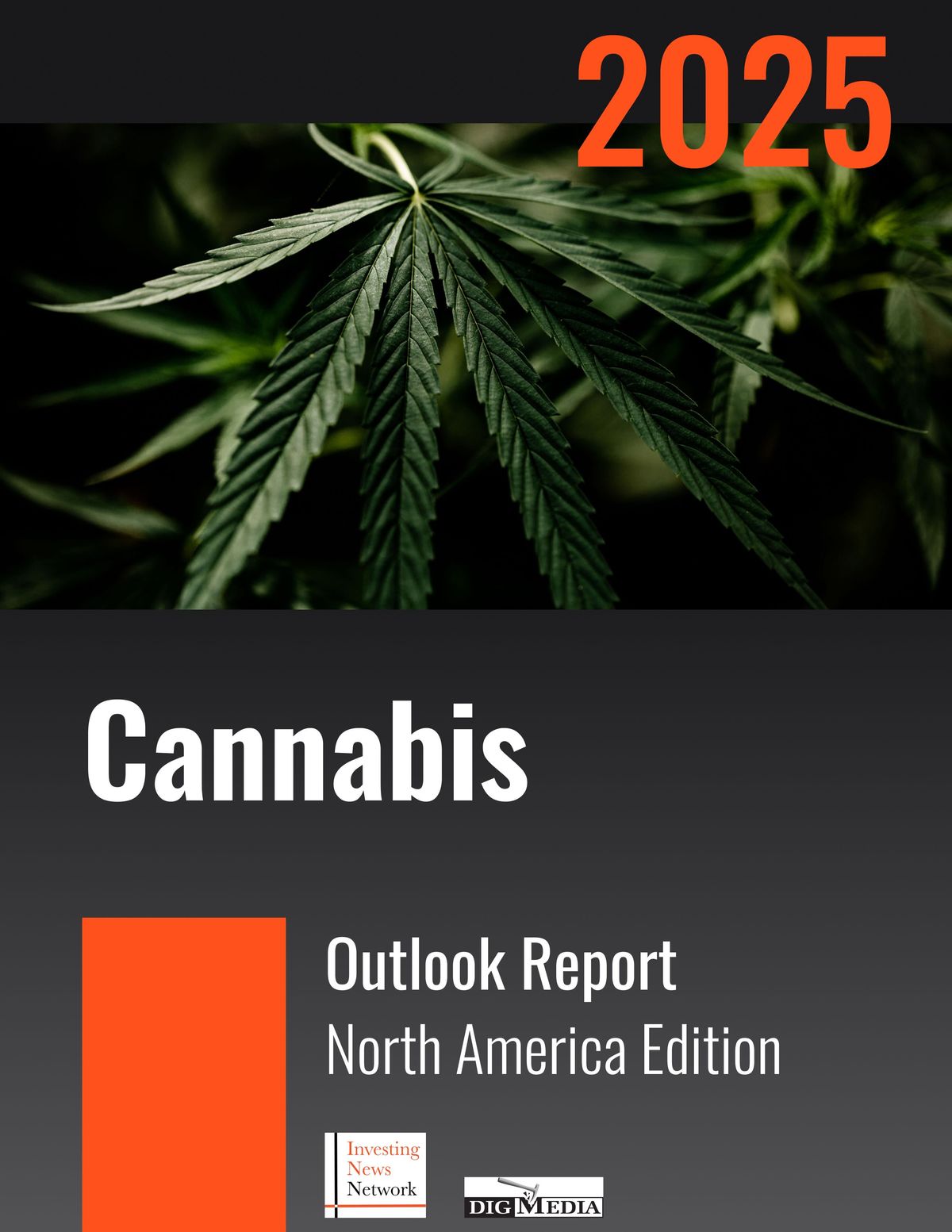 2025 Cannabis Market Outlook