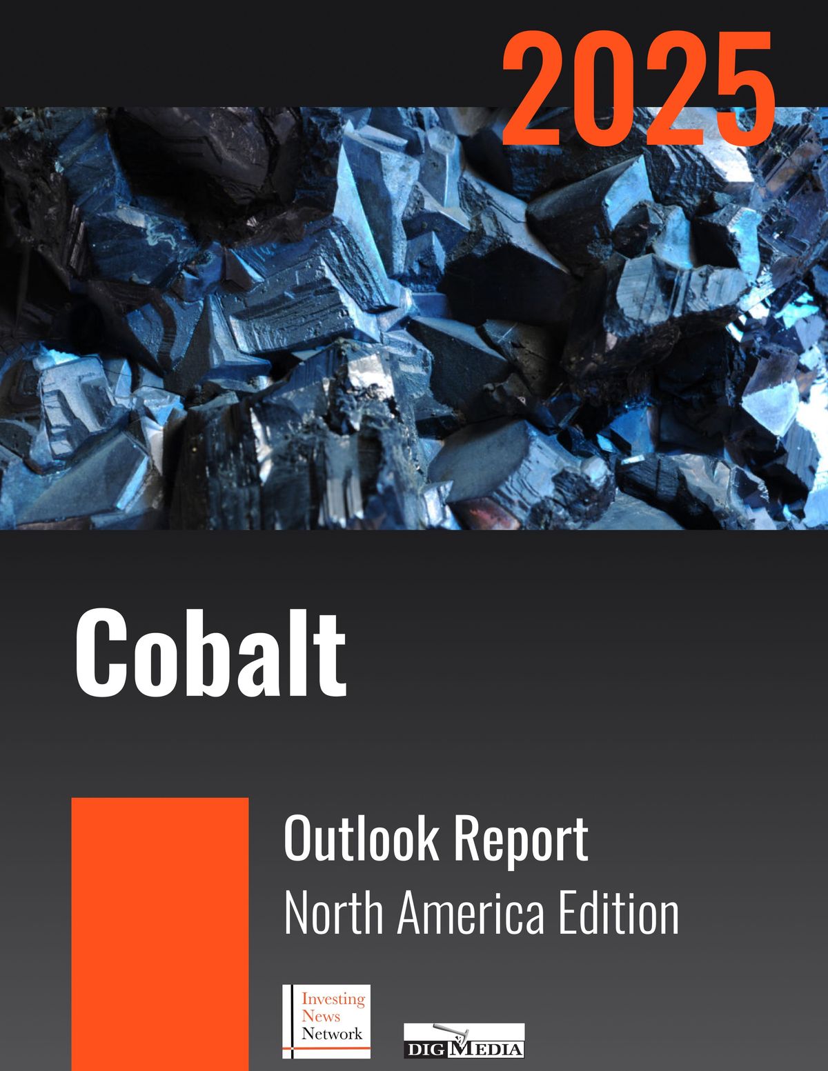 Cobalt Investor Report