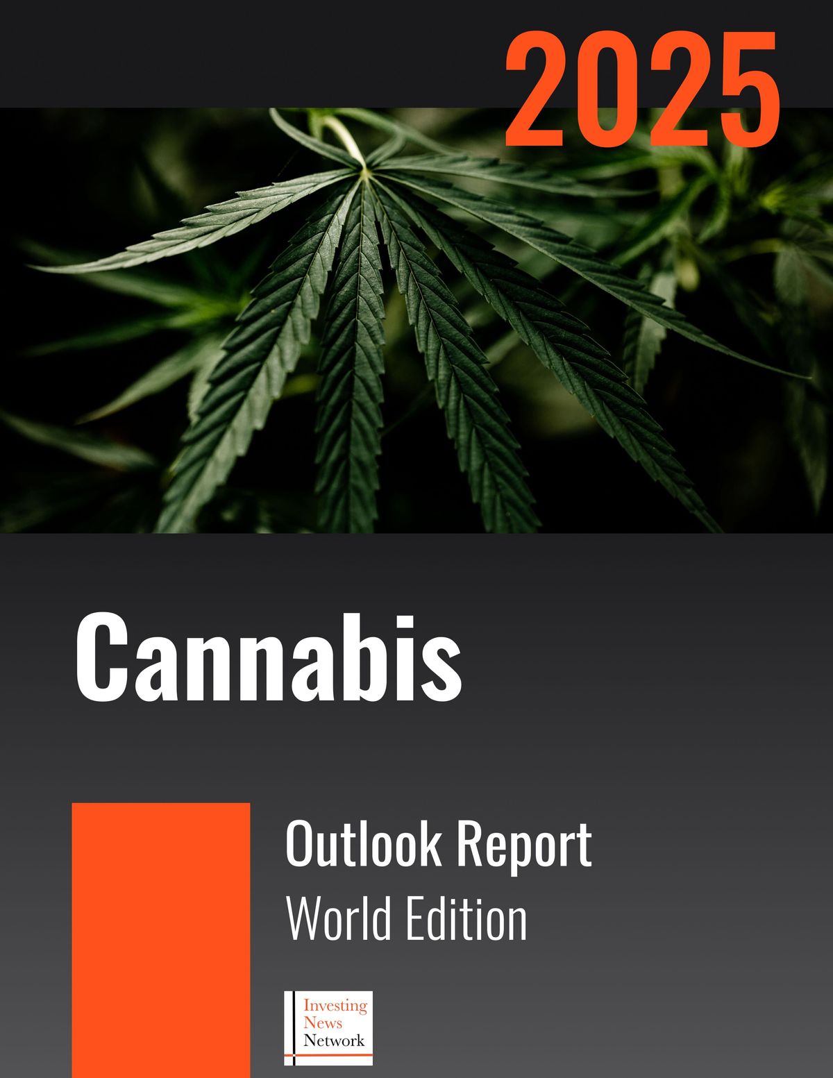 2025 World Cannabis Market Outlook