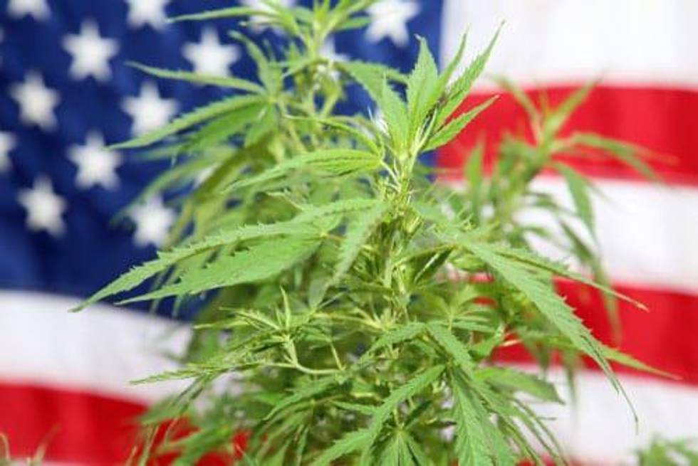 Cannabis Weekly Round-Up: Canadian Retailer Enters US Market