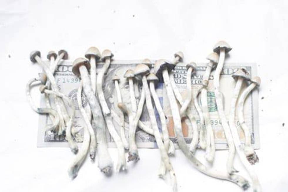 The Future of Mental Health and Addiction Therapy: Why Capital is Flowing into Psychedelics