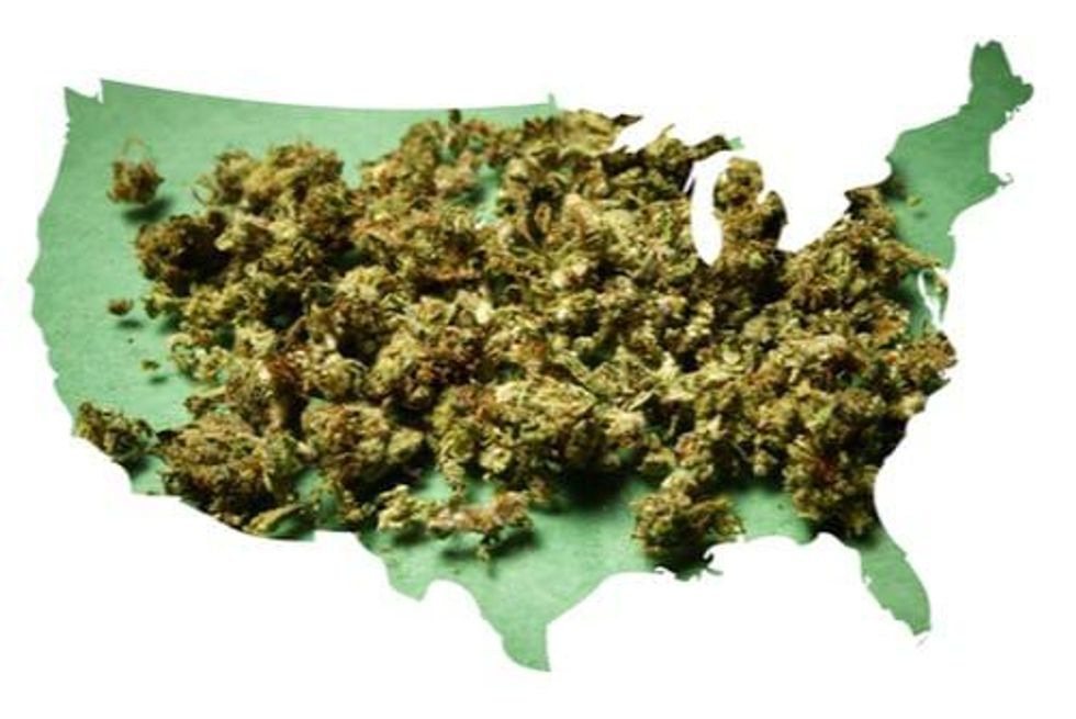 US Political Stirrings Could Boost Cannabis Investments