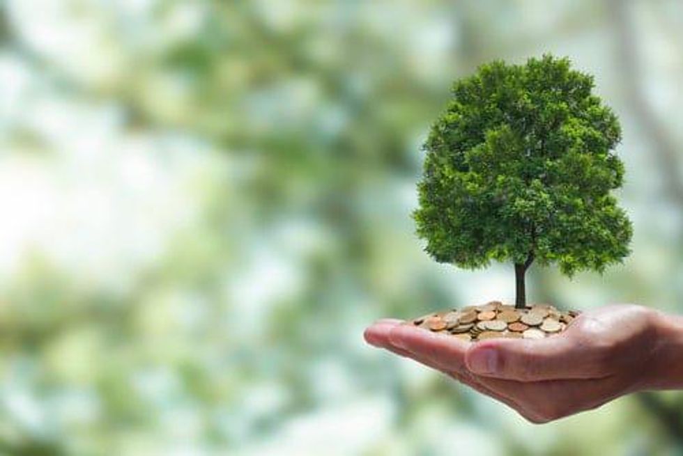 OPINION - Should You be Positioning for Decarbonization? Part 2