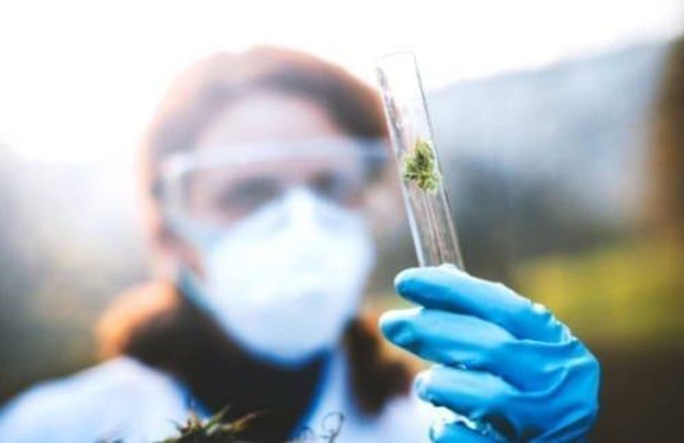 Can Cannabis Treat Skin Cancer?