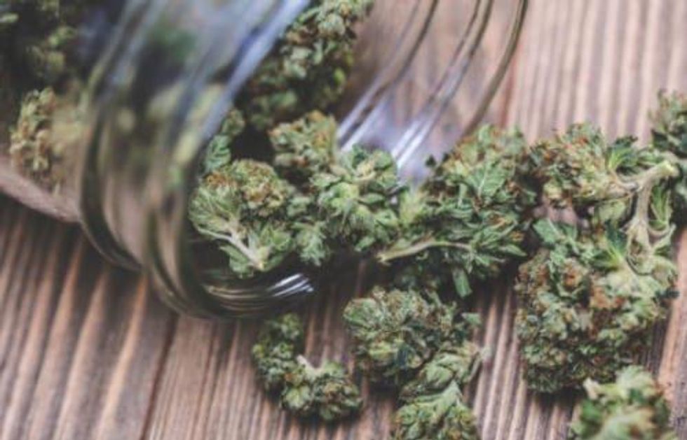 Cannabis Companies: Stocks on the TSXV