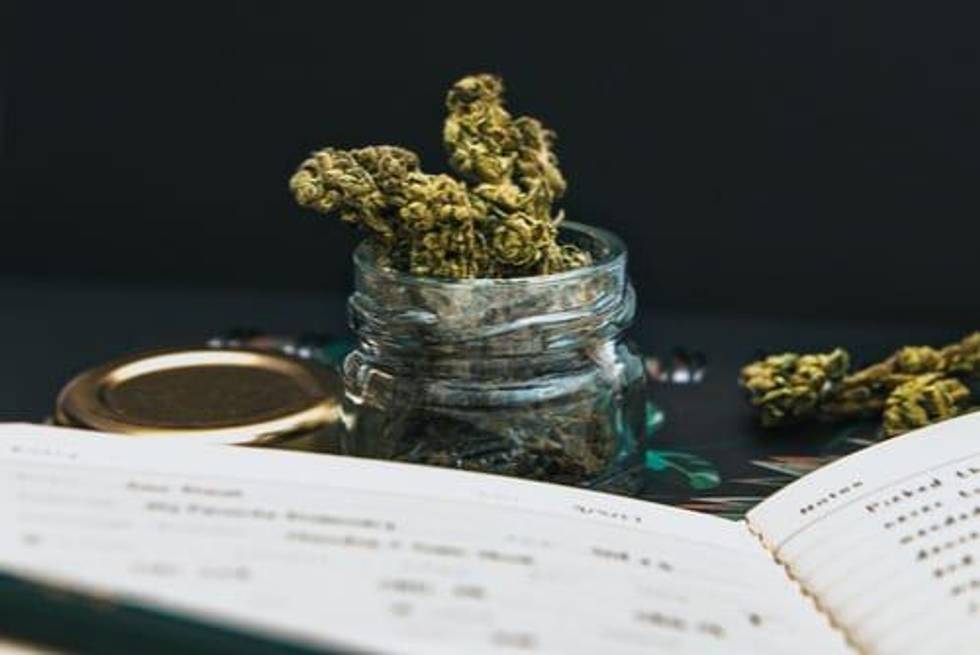 Fund Manager Explores Cannabis Investment History in New Book