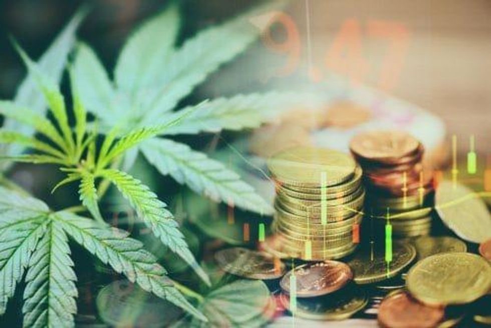 Top Cannabis Stocks Year-to-Date