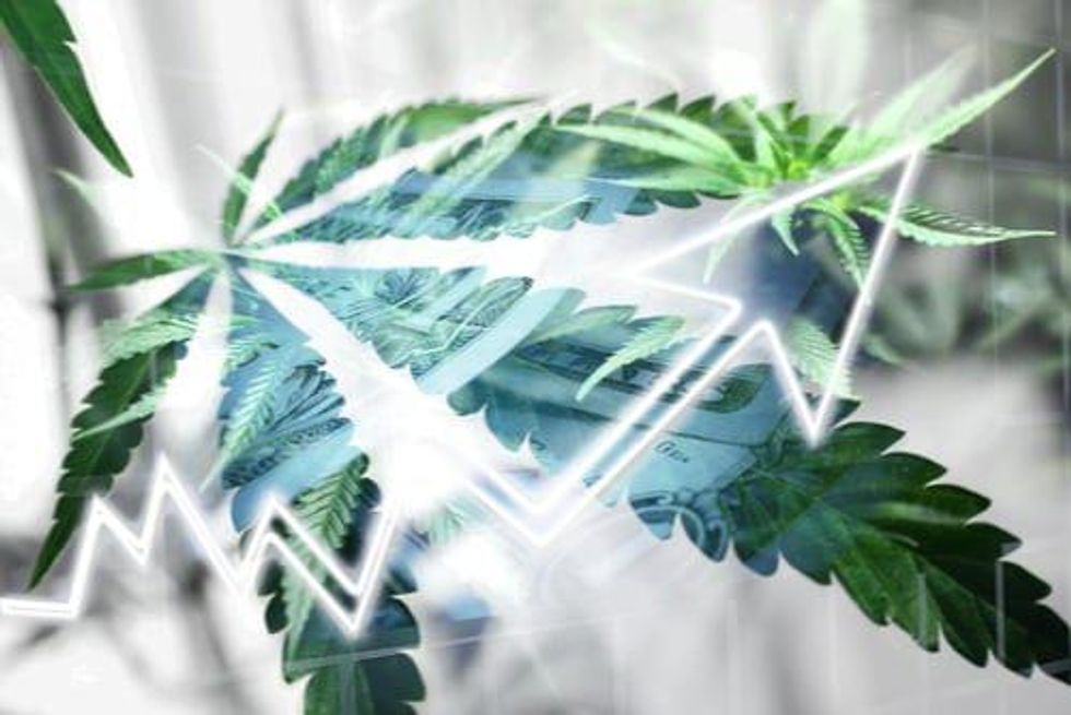 Investing in Marijuana: What to Do Once You Buy In