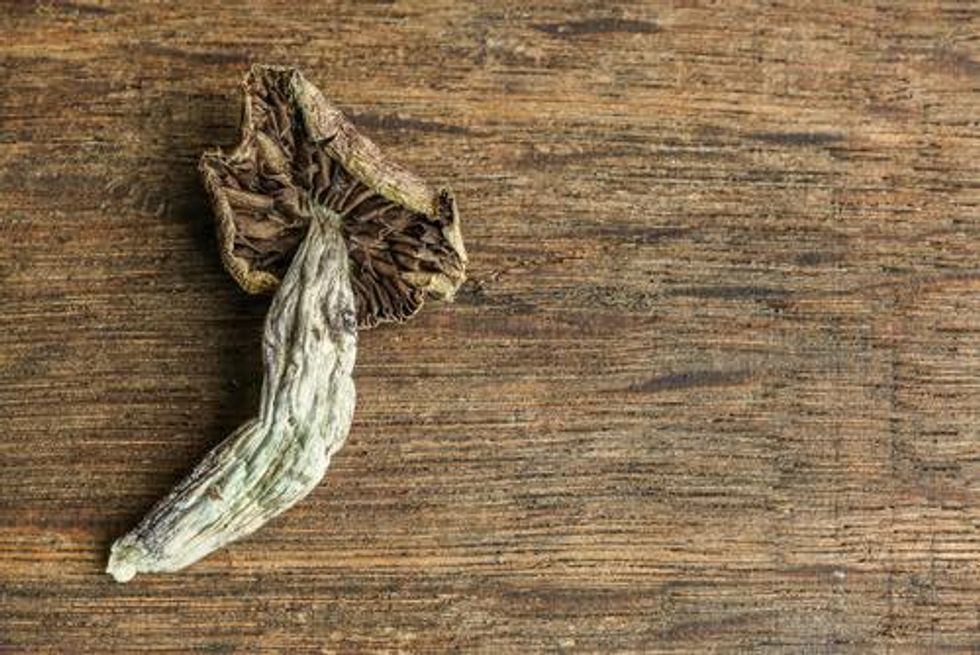 Medical Benefits Fueling Psychedelics Business Boost