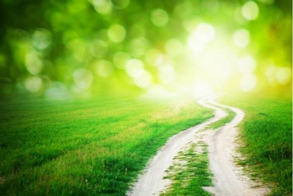 Psychedelics Market Following Path Paved by Cannabis