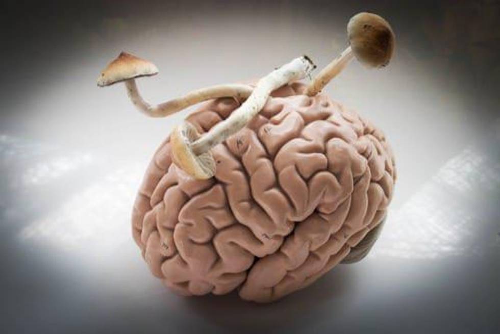 Psychedelics Outlook: A New Industry Emerges