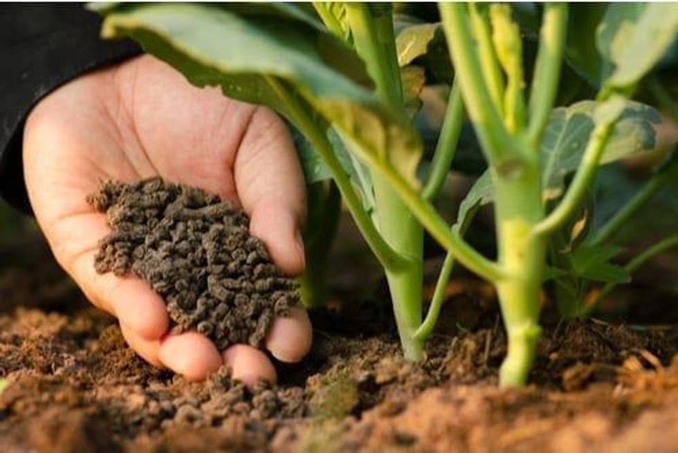 Demand for Canadian Organic Foods Creating Opportunities in the Organic Fertilizer Industry
