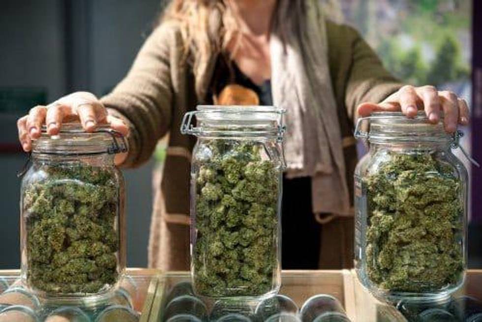 Cannabis Industry Data Analytics Driving Market Growth