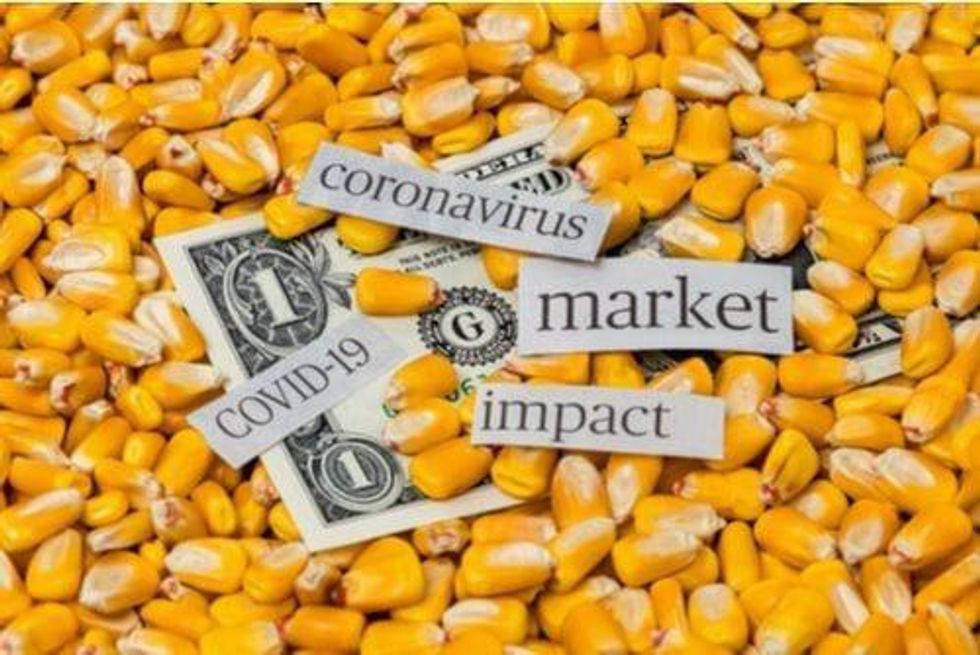 Potash and COVID-19: Who’s Reacting and How?