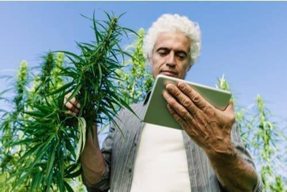 Agriculture Technology Enabling Cannabis Cultivation in South America