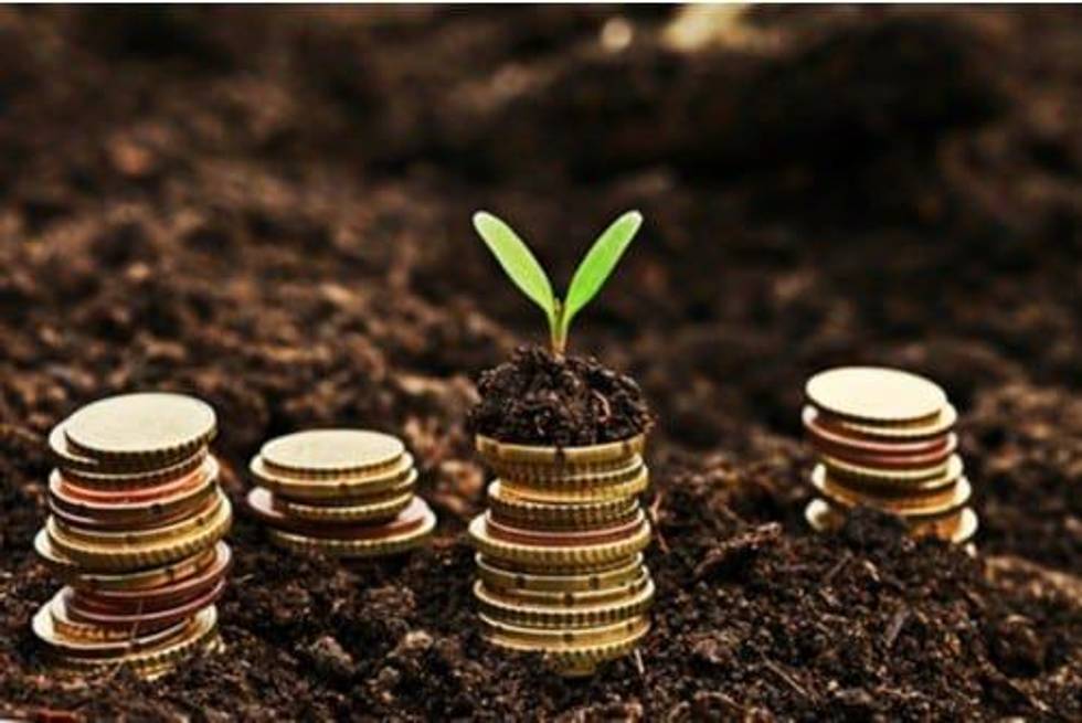 What to Look for When Evaluating a Cannabis Stock