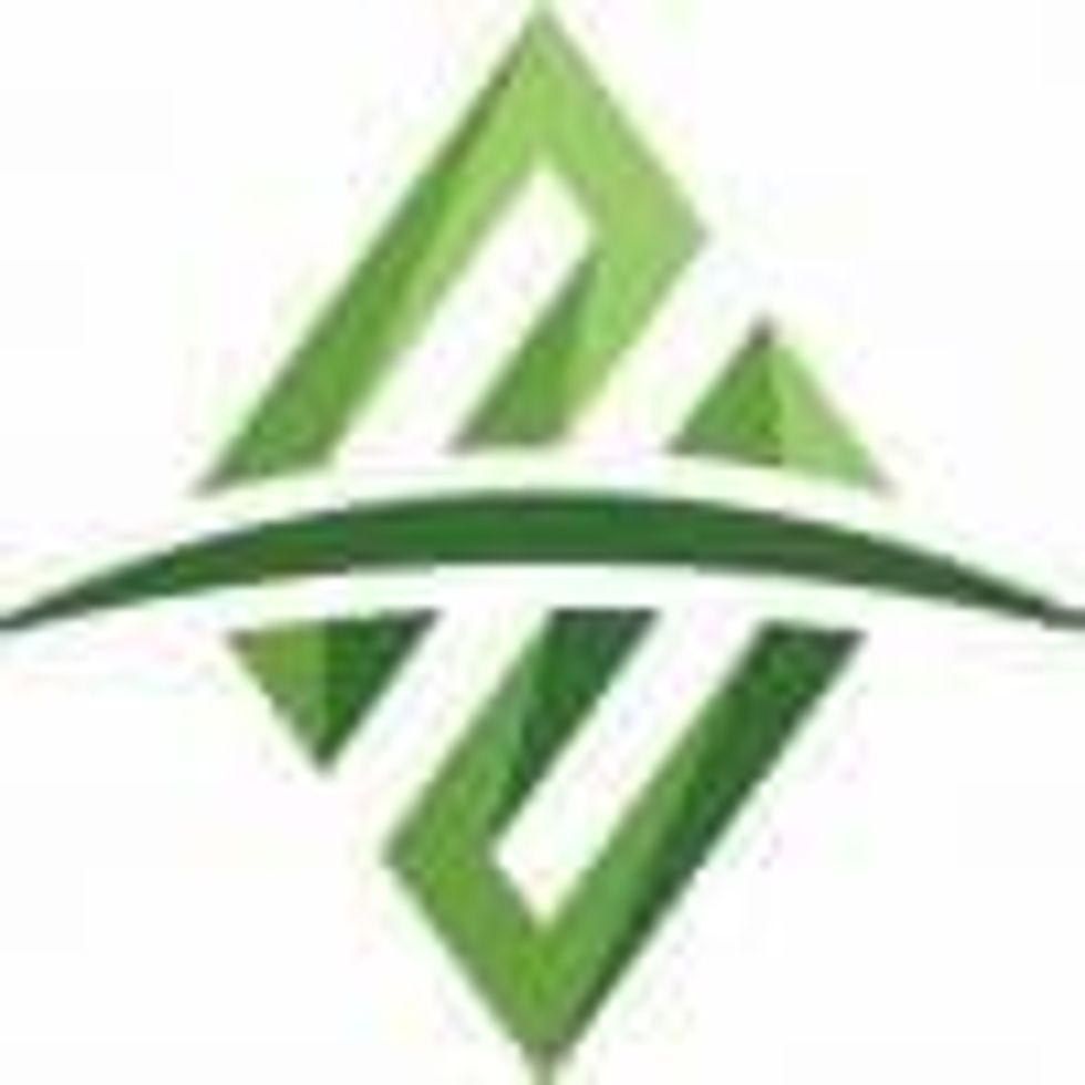 Alset Energy Appoints Gennen McDowall as Chairman of the Board