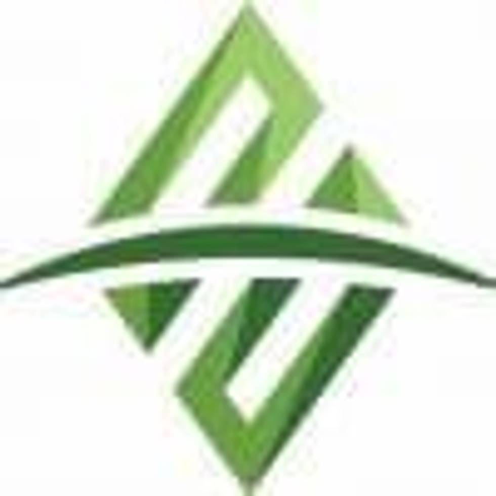 Alset Energy Appoints Gennen McDowall as Chairman of the Board