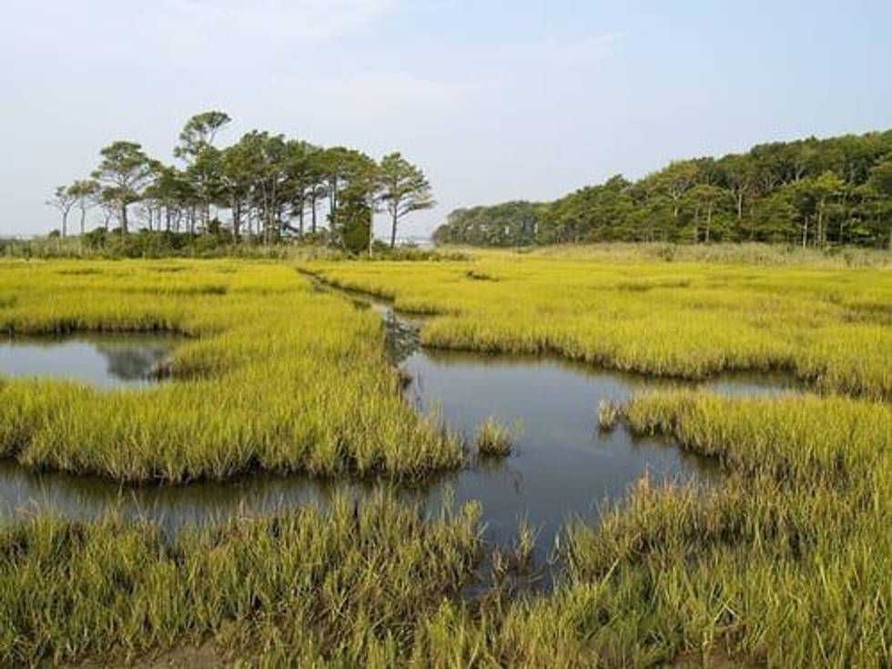 Market-Driven Strategies for Preventing Agricultural-Based Pollution in America’s Watersheds