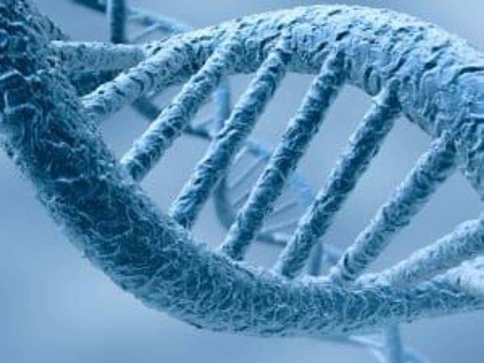 Understanding Areas of Genetic Research