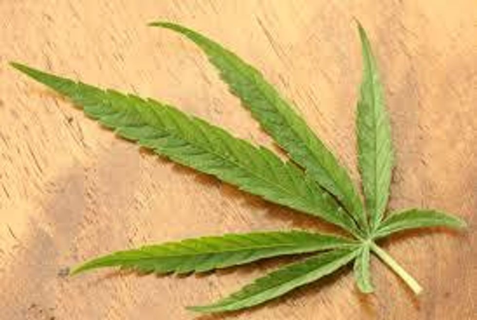 Beyond Medical Marijuana: Investment Opportunities in Cannabis-Based Biotechs