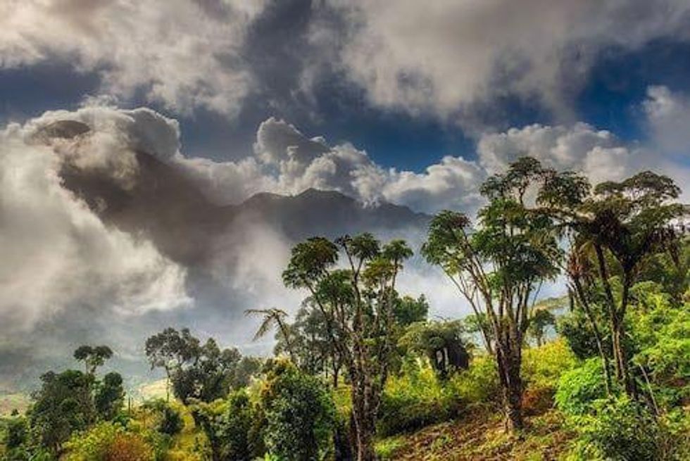 Mining for Riches: The Problem(s) with Artisanal Mining