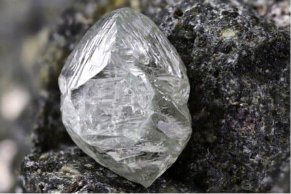 Explorer Goes Low Tech to Find Diamonds with Termites