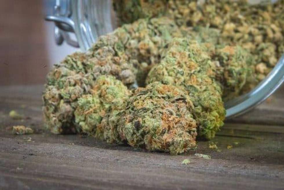 Why Investors are Excited About the Michigan Cannabis Market