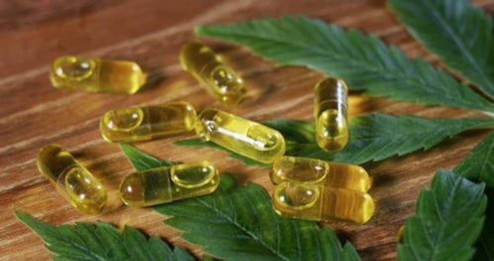 The Future of Medical Cannabis: Cannabinoid-based Pharmaceuticals
