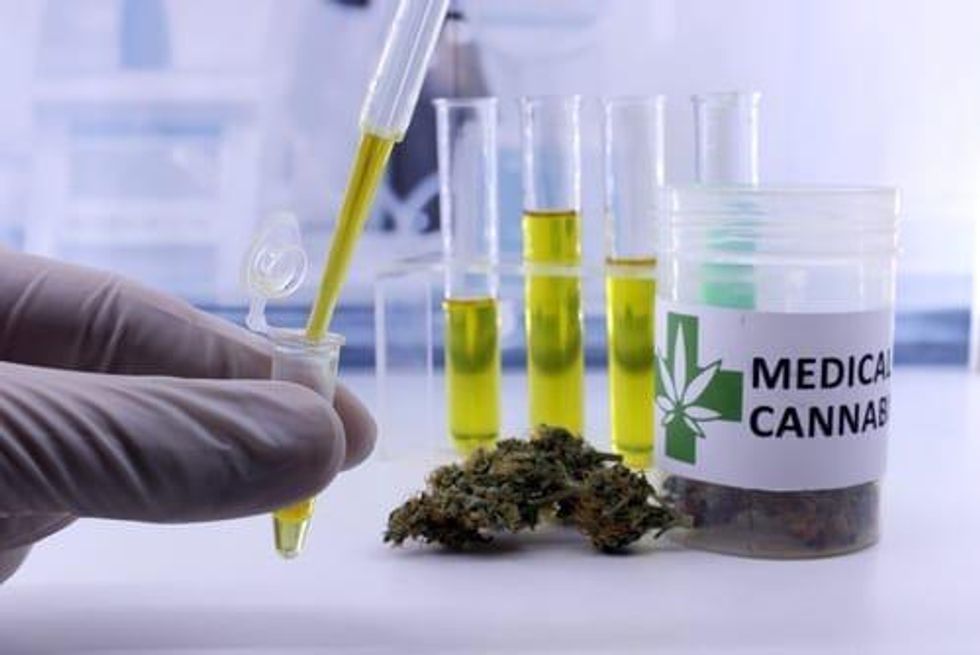 Investing in Cannabis Biotech Stocks