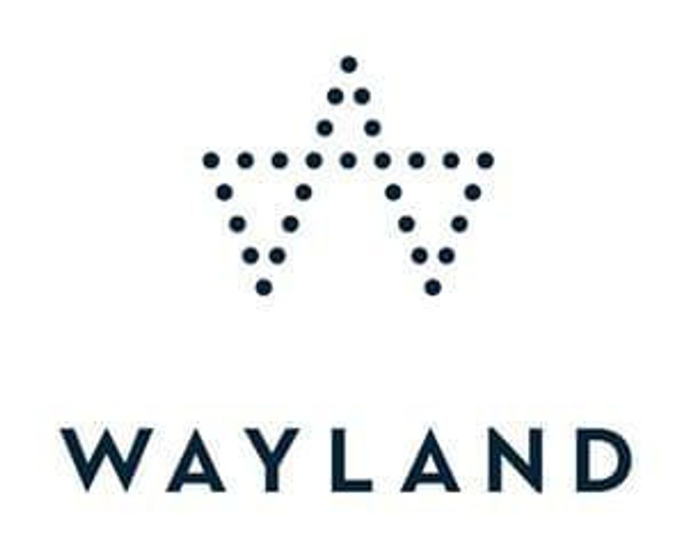 Wayland Group Announces Corporate Update