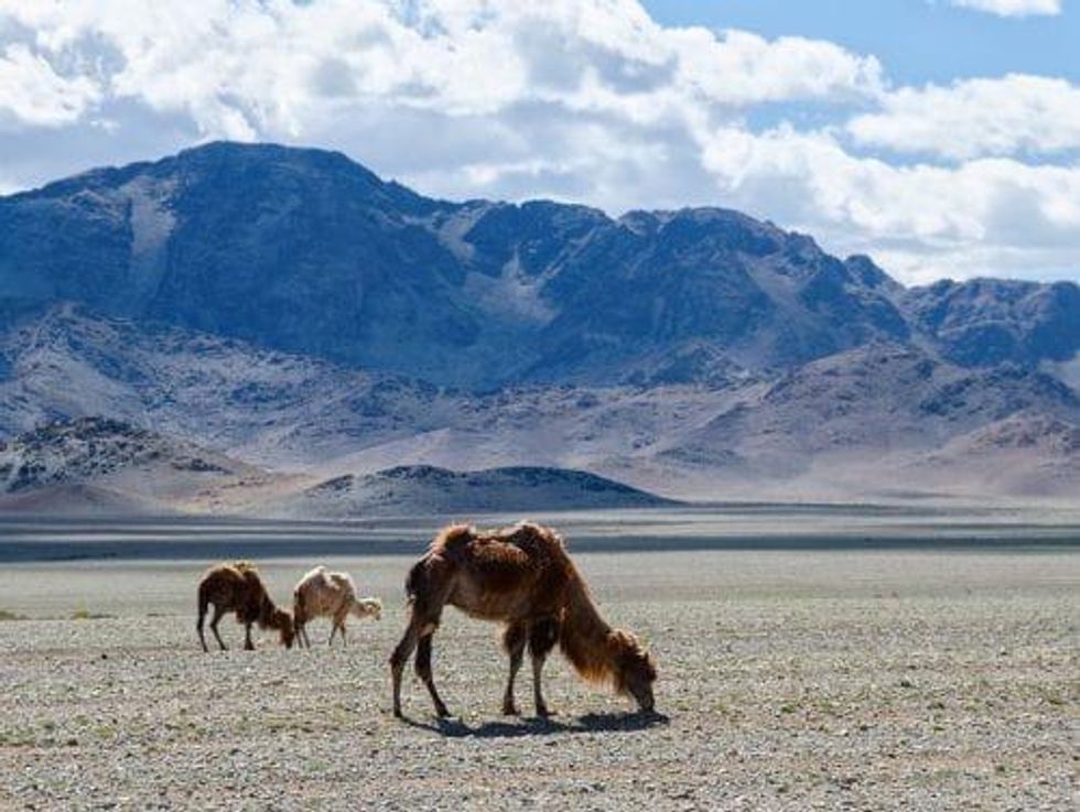 Oyu Tolgoi Delivers the Goods: Exceeds Copper Guidance for 2018