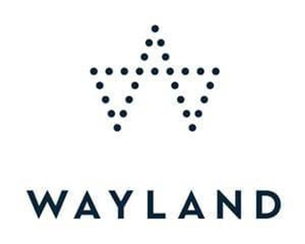 Maricann Group Inc. Completes Corporate Name Change to Wayland Group Corp.