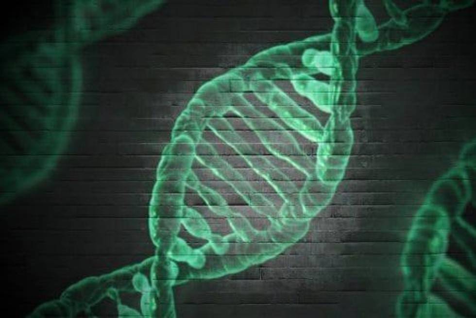 5 Top NASDAQ Genetics Stocks Year-to-Date