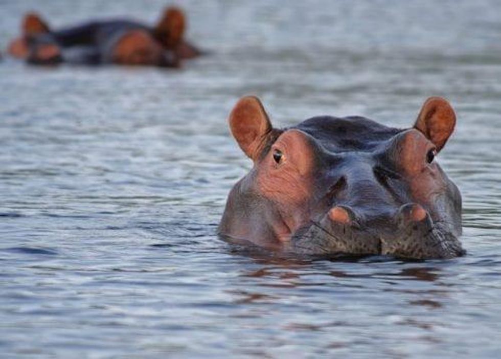 Zambia’s Munali Nickel Mine Rises Again