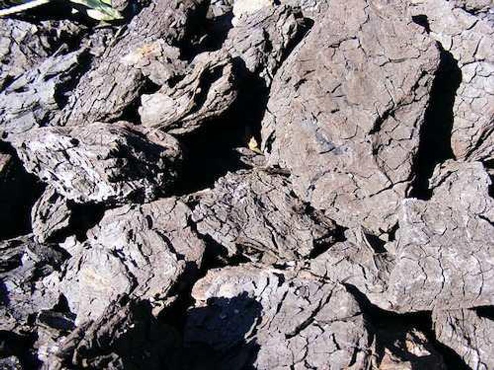 Coal 101: What is Lignite?