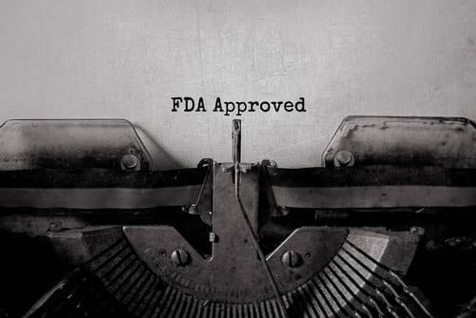Key Stock Catalysts in the FDA Drug Application Process