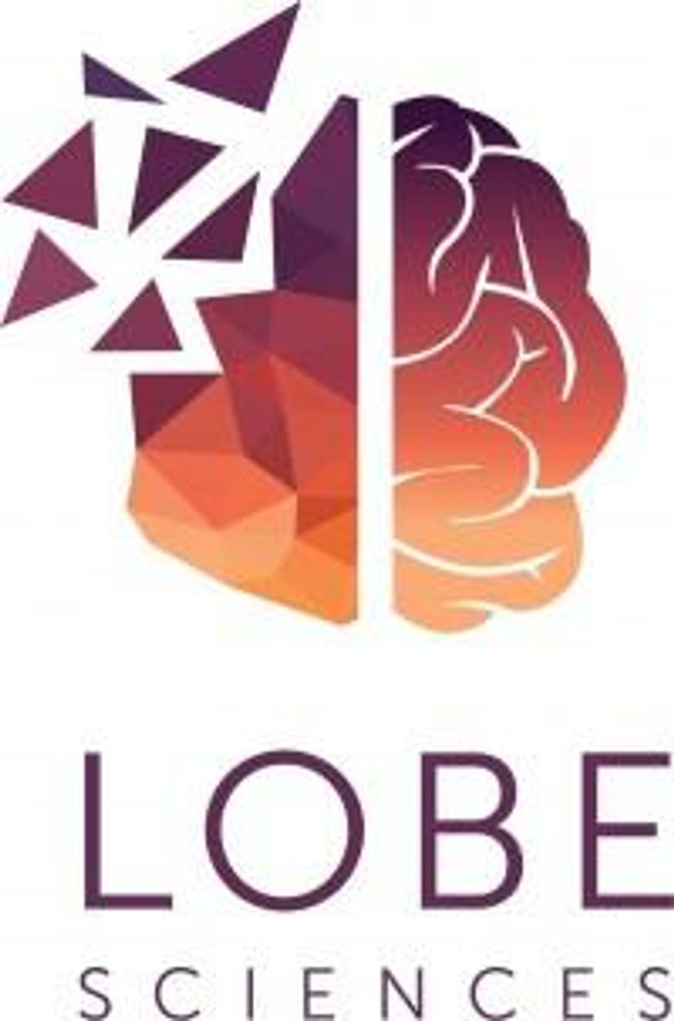 Lobe Sciences Announces Management Changes and New Director