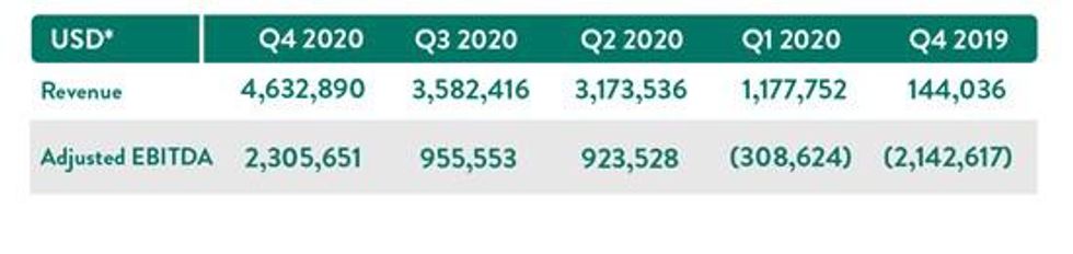 Next Green Wave Announces Q4 Results and Corporate Appointments