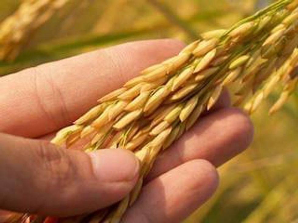 Agrium and PotashCorp Combine to Form Nutrien