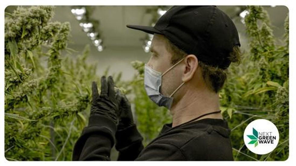 Next Green Wave Records Second Consecutive Month of US$1,000,000 Adjusted EBITDA